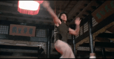 practicing martial arts GIF by Shaw Brothers