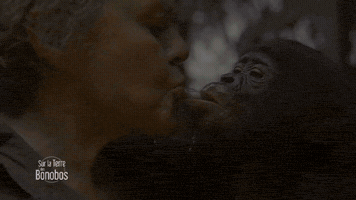 france-3 #france3tv GIF