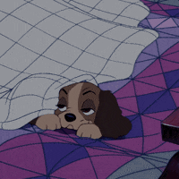 lady and the tramp dog GIF by Disney