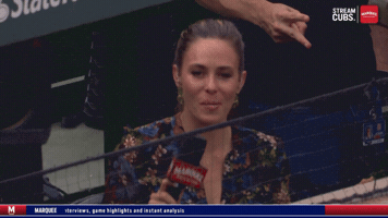 Chicago Cubs Baseball GIF