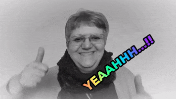 zueger GIF