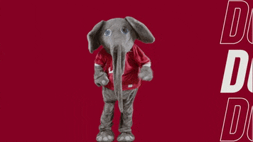 Alabama Football Touchdown GIF by The University of Alabama