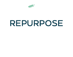 Rein Graphics Sticker by Pump and Crunch