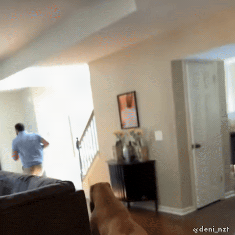 Come Here In Trouble GIF