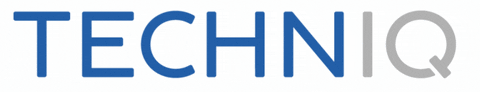 Techniq Training Singapore GIF