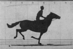 Eadweard Muybridge GIF