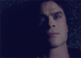 Damon Salvatore GIF