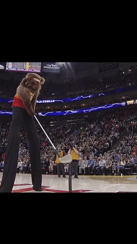 Jazz Bear GIF