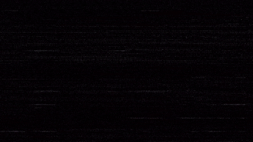 Bear GIF