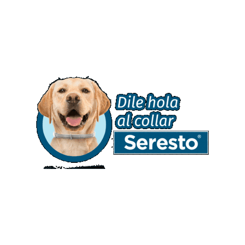 ElancoMéxico Sticker