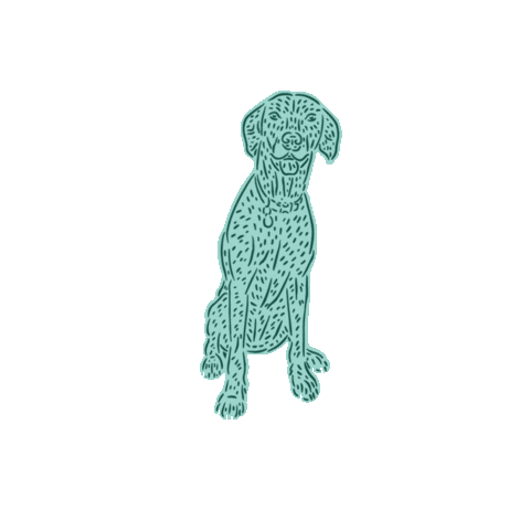 Dogwalkers Sticker