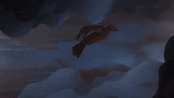 Flying Fleet Foxes GIF by ANTI- Records