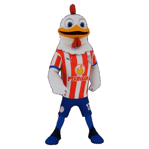 Futbol Baile Sticker by Pechugon