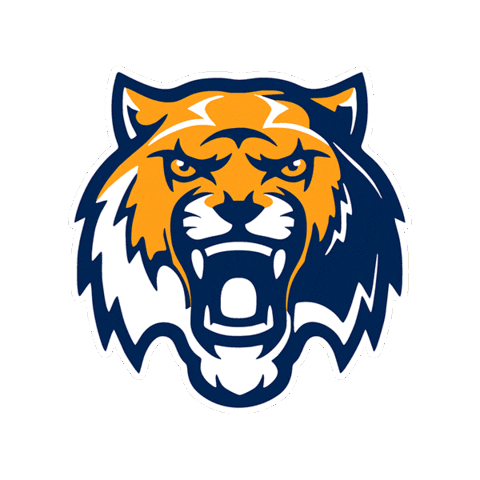 Rise Together Round Rock Sticker by Stony Point Tiger Band and Sapphire Guard