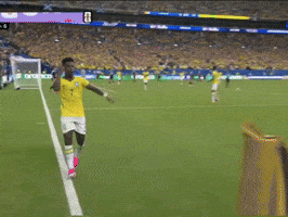 Brazil Vinijr GIF