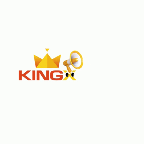Kingxdistribuidora GIF by KINGX