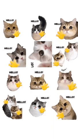 Animated GIF