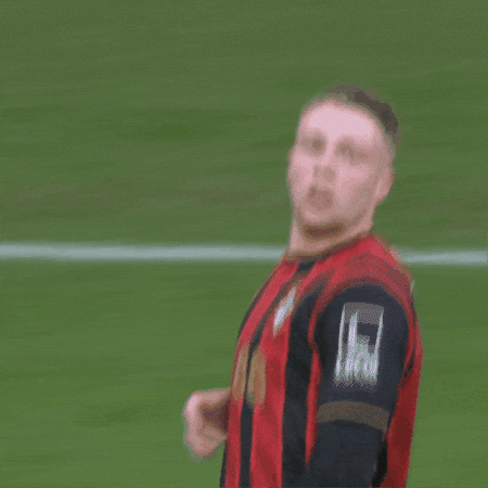 France No GIF by AFC Bournemouth