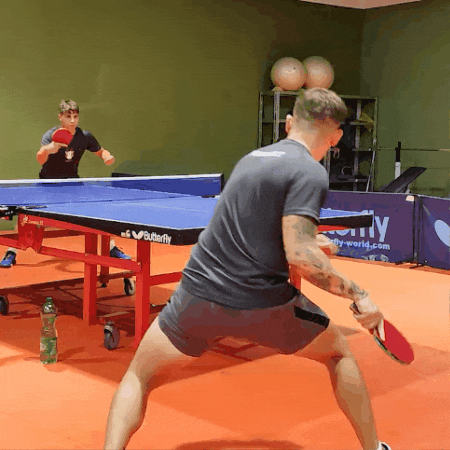 PINGWINGS GIF
