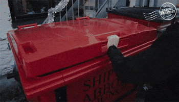 Christmas GIF by Death In Paradise