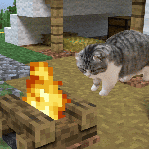 Campfire Mugimeshi323 GIF