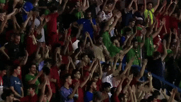 Ettifaq football clap clapping fans GIF