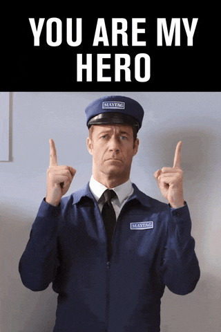 My Hero Reaction GIF by Maytag