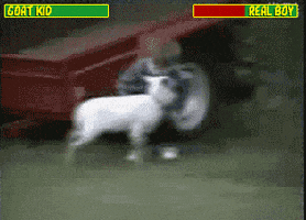 boy real goat fatality-