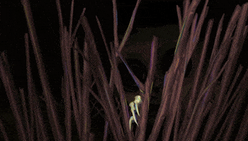 Blue Eyes Hello GIF by Xbox