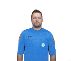 Z.V.V. Pelikaan Sticker