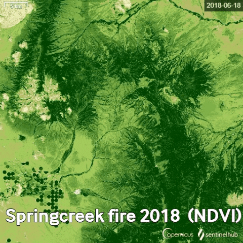 Wildfire GIF
