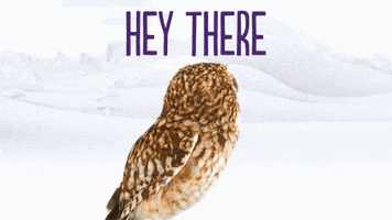 Whats Up Hello GIF by TELUS