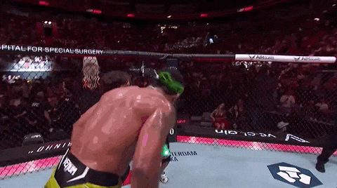 Every Epic UFC287 GIF You Need To See! by Sports GIFs | GIPHY