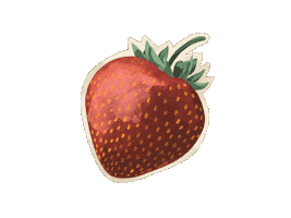 Summer Fruit Sticker by Michelle Urra