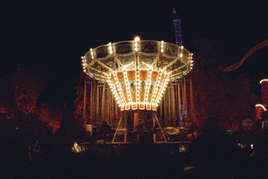Amusement Park Night GIF by subtlestrokes