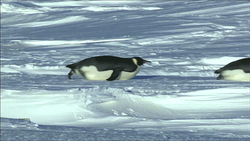 sliding a day GIF