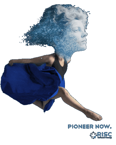 Teamrisc Sticker by risc_software