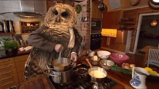Owl Cooking GIF
