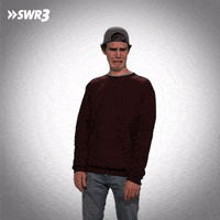 Stop It Go Away GIF by SWR3