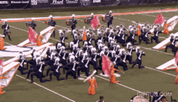 Dci GIF