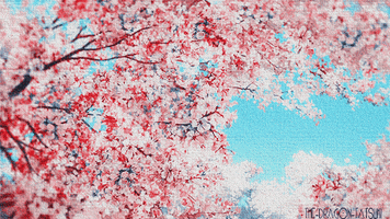 cherry blossom hana matsuri GIF