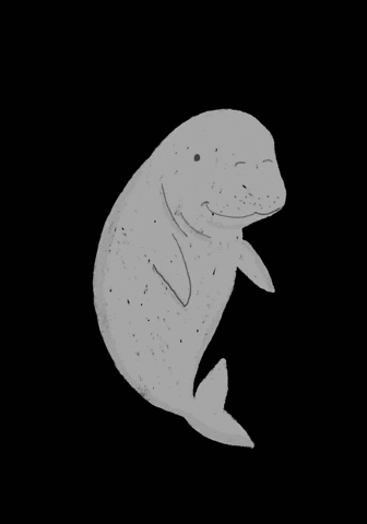 nadyacaka beach sea dugong seagrass GIF