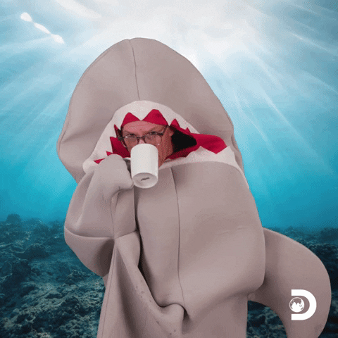 Fun Smile GIF by Shark Week