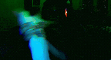 Cats Vibing GIF