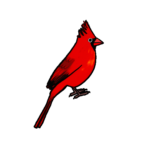 Birdtalk Sticker by girlinwhiteglasses