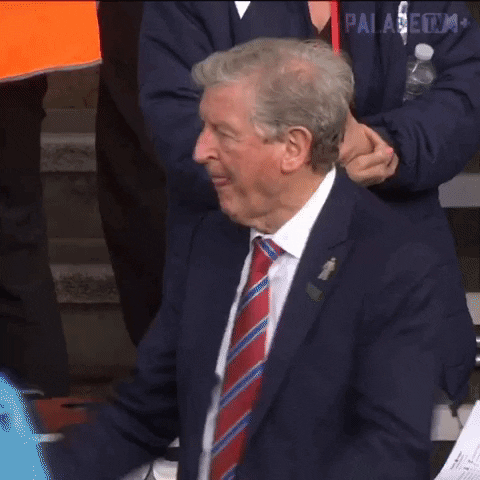 Premier League Smile GIF by Crystal Palace Football Club