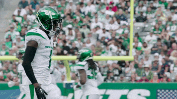 Scream Yell GIF by New York Jets