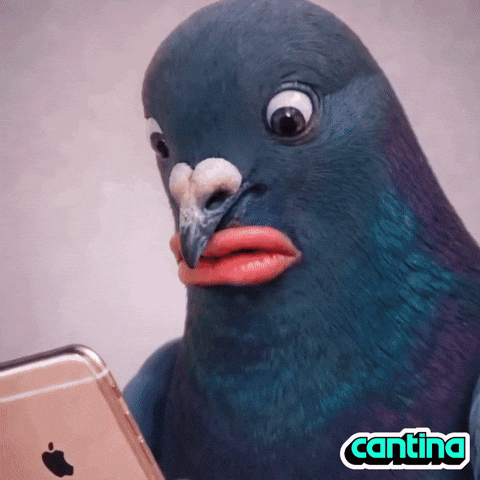 Shock Omg GIF by Cantina