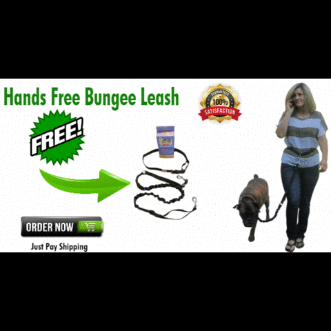 HRS dog leash GIF