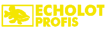 Sonar Raymarine Sticker by Echolotprofis